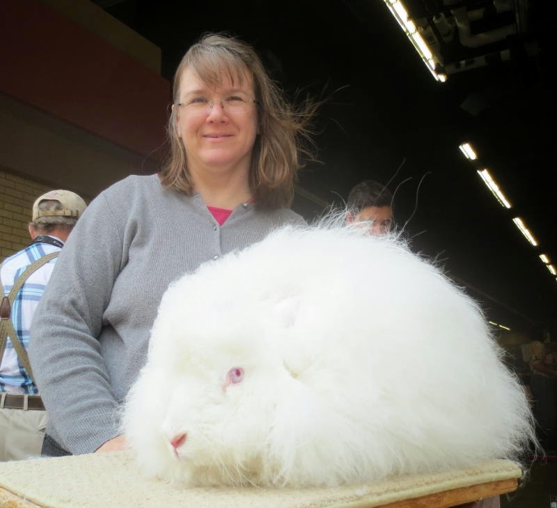 Spinning Different Sheep Breeds