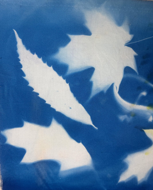 Embellishing Fabric with Cyanotypes