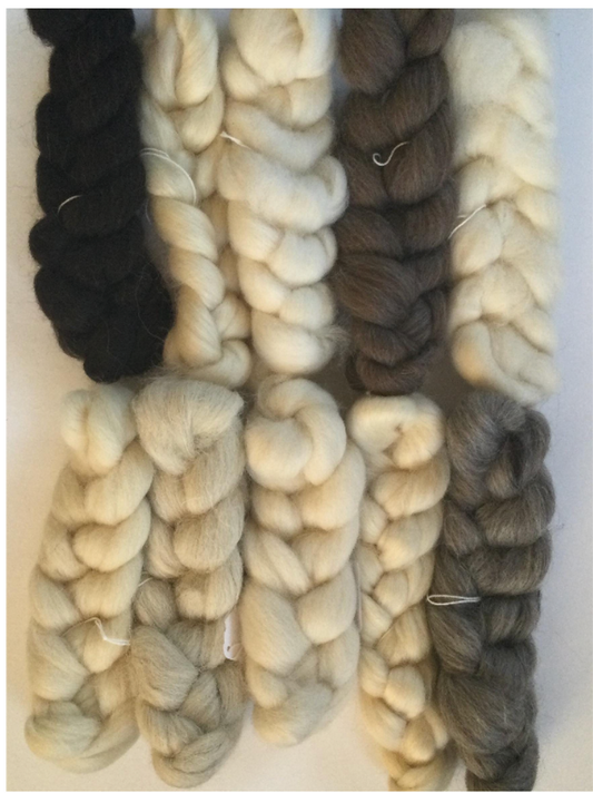 Spinning Different Sheep Breeds